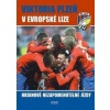 Viktoria Plzeň v Evropské lize - Hrdinové nezapomenutelné jízdy - Steinbach Viktor