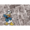 Fototapeta na stenu - FT2478 - Káčer Donald 152cm x 104cm - Vliesová fototapeta