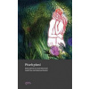 Píseň písní - Kopecká Martina Viktorie