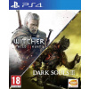 Dark Souls 3 The Witcher 3 Wild Hunt
