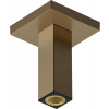 Hansgrohe - Prívod od stropu E 100 mm, kartáčovaný bronz 24338140