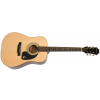 Epiphone Songmaker DR-100 barva NA (přírodní)