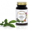 Masticha terapia Herb Alerg 60 kapsúl - alergie, histamínová intolerancia, senná nádcha