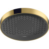 HANSGROHE Rainfinity horná sprcha 1jet EcoSmart, priemer 250 mm, leštený vzhľad zlata, 26229990