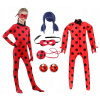 Kostým pre dievča - Rozprávkové kostýmy džemy. 110 (Obliekanie outfit biedronka peruka + maska + yo -yo)