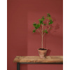 WALL PAINT Primer red, Annie Sloan - 2,5 L