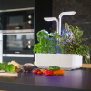 Kvetináč Véritable Classic Arctic White