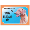 Dafiko Tabulka Tady hlídám! Rhodéský ridgeback 1ks