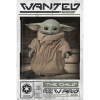 Pyramid International Star Wars: Mandalorian - plagát - Wanted the Child