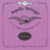 AQUILA 96C New Nylgut