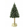 Vianočný stromček Diamond Pine na kufri 1660 cm trblietavý sneh (Vianočný stromček Diamond Pine na kufri 1660 cm trblietavý sneh)
