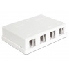 Delock Keystone Box 4-portový, nástenný