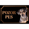 Louisianský leopardí pes - Kovová tabuľka POZOR PES