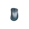 Canyon CNE-CMSW11BL, Wireless optická myš Pixart 3065, USB, 1200 dpi, 3 tlač, niagara modrá