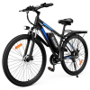 Ridstar S29 Pro Electric Bike