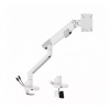 ARR Držiak na stôl pre monitor ART RAMM L-29GD LED/LCD 17-35