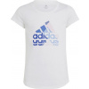Adidas Tričko s dlouhým rukávem adidas Big Logo GT Jr IB9162