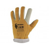 CXS URBI WINTER