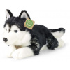 Plyšák RAPPA Plyšový pes husky 36 cm, Eco-Friendly (8590687230118)