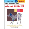 Můj pracovní sešit Úžasná bludiště - Toshihiki Karakido, Yoshiko Murakami, Masako Watanabe, Toshio Nischiuchi