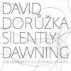Dorůžka David - Silently Davning [CD]