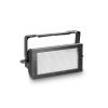 Cameo THUNDER WASH 600 W