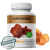 MycoMedica Auricularia extrakt 90 kapsúl