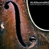 Ridina Ahmedová: HlasKontraBas - Ridina Ahmedová
