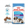Royal Canin Giant Starter Mother & Babydog 15 kg