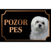Maltézsky psík - Kovová tabuľka POZOR PES