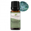 EUKALYPTUS esenciálny olej Plant Therapy 10ml