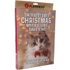 Flamingo Adventní kalendář s pamlsky pro kočky 295g