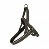 Postroj DUVO+ EXPLOR EAST nylon S 30-40cm/15mm čierny