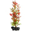 Tetra Red Ludwigia S 15 cm S