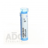 Argentum Nitricum gra.1 x 4 g 9CH