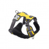 Postroj RD polstrovaný XS - 31-43 cm - Žltá