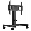 iiyama -Single column electric floor lift on wheel (MD CAR1021-B1)