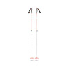 Palice - Black Diamond Traverse Ski
