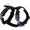 Nobby postroj pro psy DAILY WALK COMFORT S-M černá