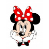 CUKROVÁ JEDLÝ OBRÁZOK NA TORTU VYTLAČENIE MYŠKA MINNIE dekorácia narodeniny