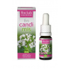 finclub fin Candimis 10ml
