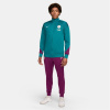 Nike Paris Saint Germain Strike Tracksuit Adults Geode Teal M