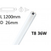 BELLIGHT Žiarivka 36W COLOURLUX PLUS teplá biela 26x1200