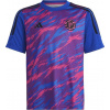 Adidas tričko adidas Pogba Training JSY HS0546