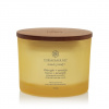 Chesapeake Bay Candle Mind & Body 3-Wick Jar Strength + Energy 312 g
