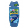 Palmolive sprchový gél Mineral Massage 250ml