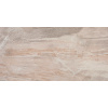 ABK Fossil FSN03100 BEIGE