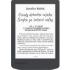 E-book POCKETBOOK 619 Verse Light, Midnight Grey, sivý