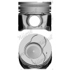 Piest NÜRAL (FEDERAL-MOGUL) 87-135307-00