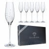 Poháre na šampanské 210ml Celebration 30538 Swarovski Crystals (6KS) (2835)